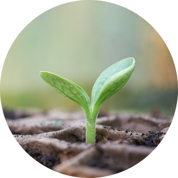 GFB About Timeline GainingMomentum